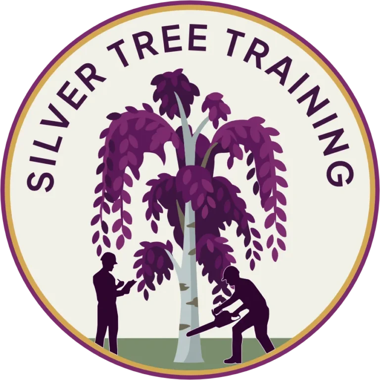 Silver Tree Training Logo