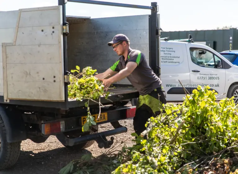 A silver tree services staff member unloads waste plant matter into the yard.