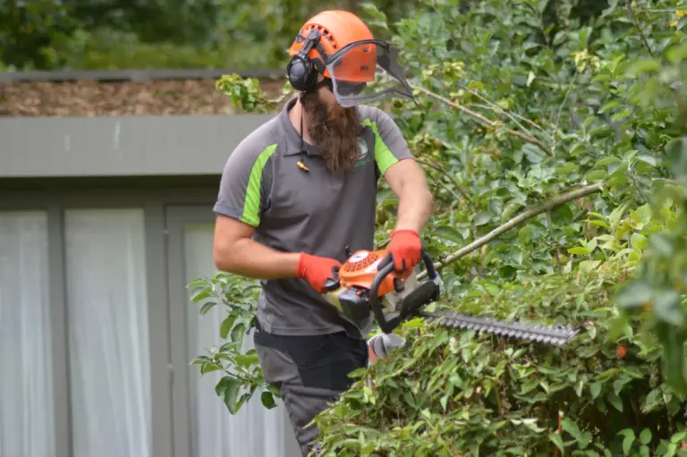 Silver tree services staff member trimming a hedge top.