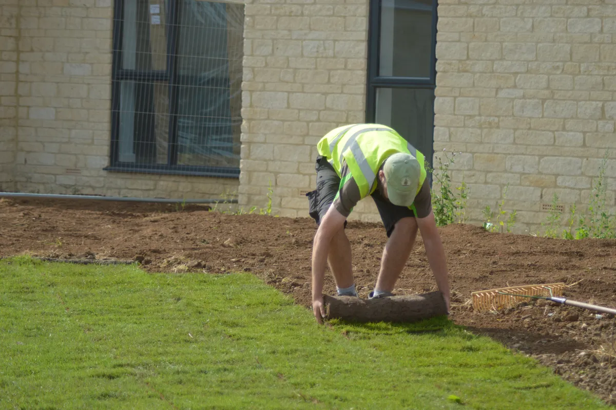 A member of silver tree services is unrolling fresh turf across a lawn.