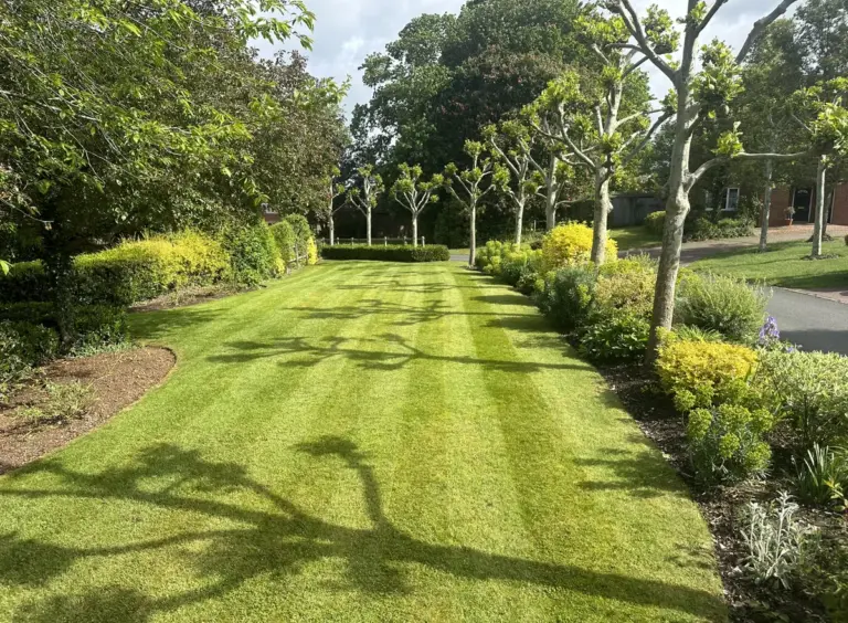 Freshly mown lawn with striped cut lines, bordered by planted beds.