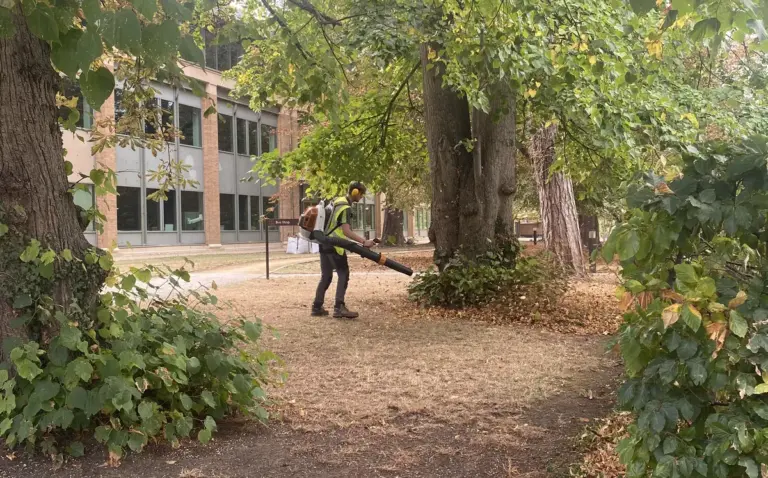 A silver tree services staff member uses a leaf blower to clear community areas between trees.